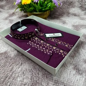 Sequin Embroidery Panjabi